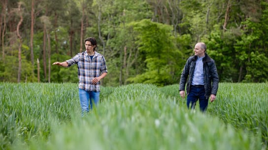 Two men in an organic garden