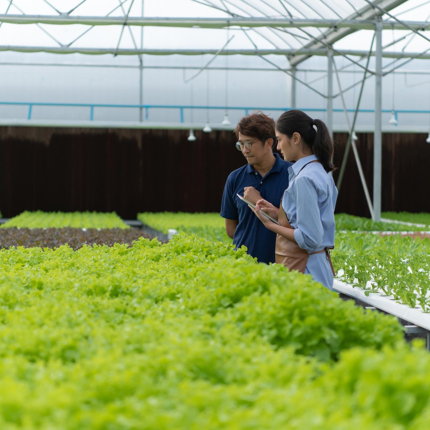 resource security two persons in an organic garden