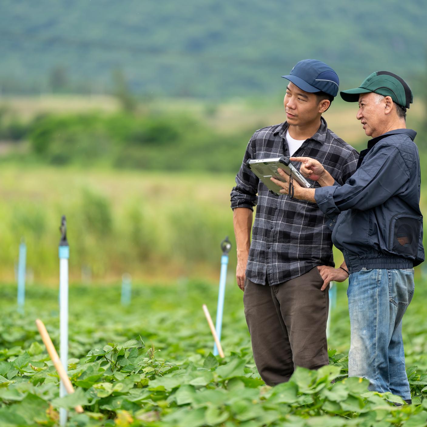 People in the field.