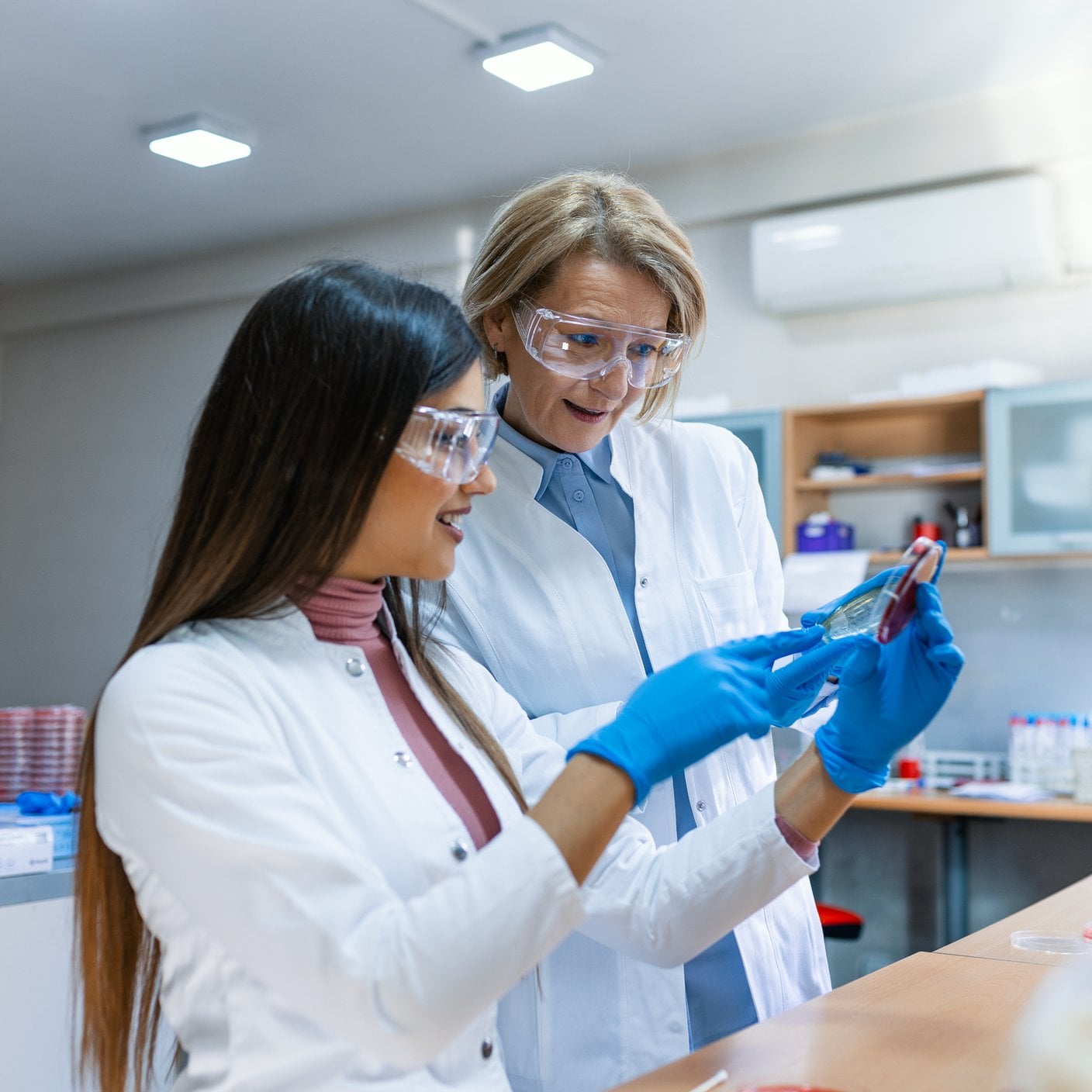 Scientist Works with Petri Dishes with Various Bacteria, Tissue and Blood Samples