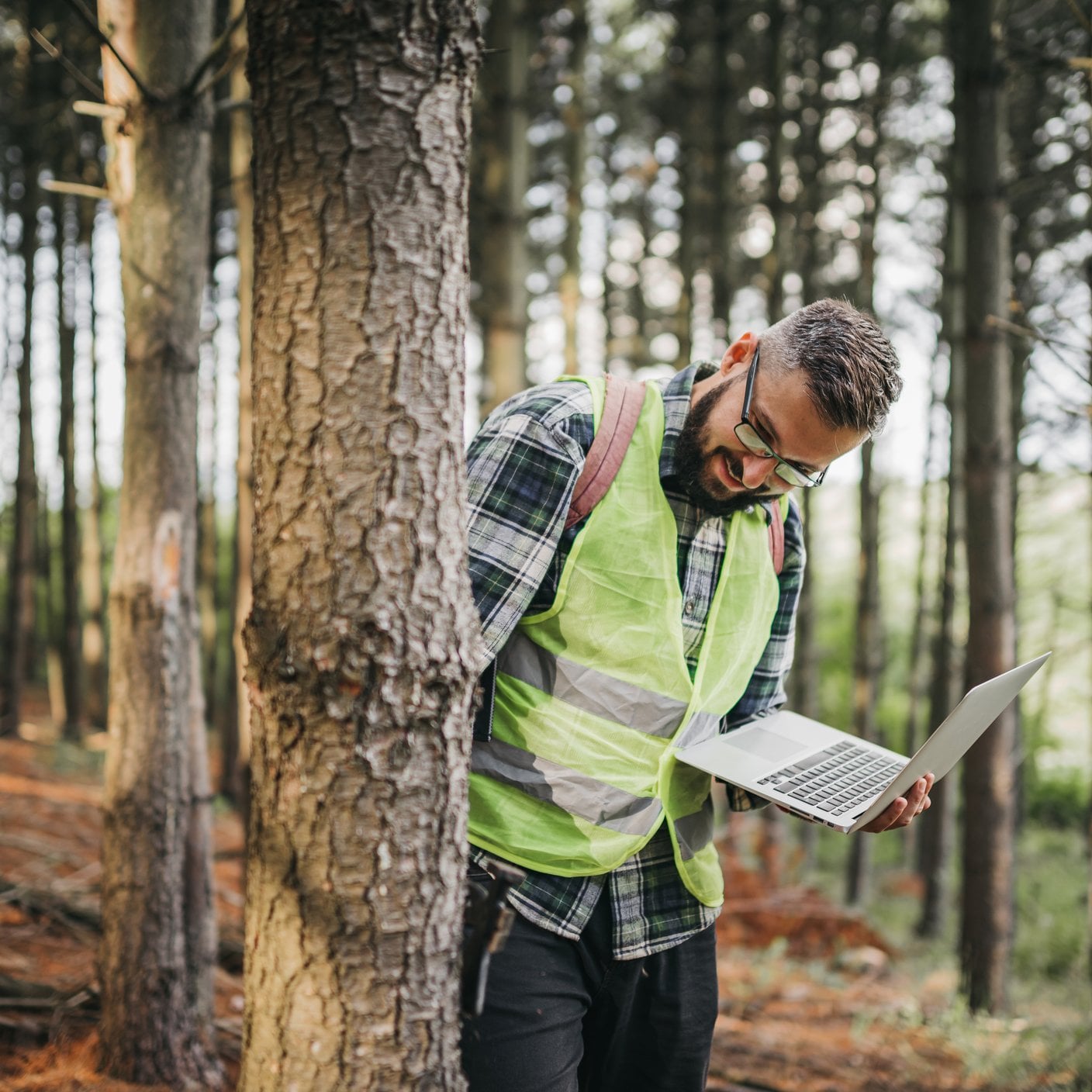 Ranger monitoring the woodland ecosystem
