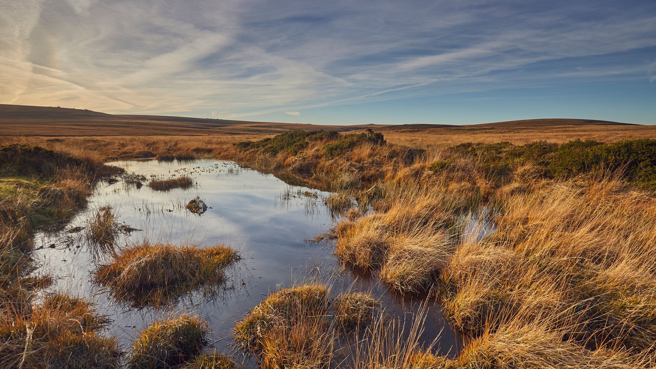 View of Dartmoor National Park the largest protected area in southwest England
